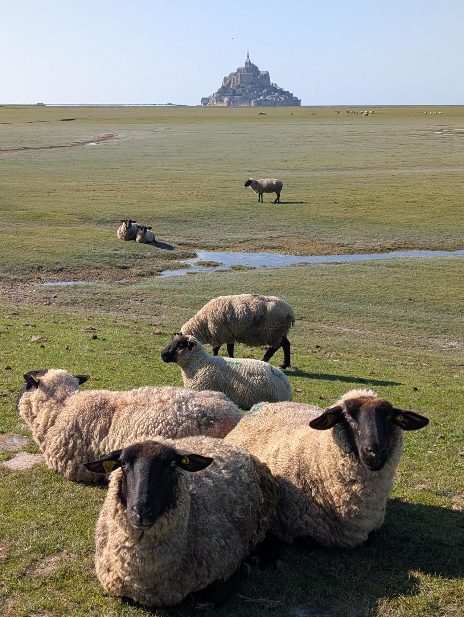 A L Ombre Du Mont Saint Michel Bed & Breakfast Huisnes-sur-Mer Exterior photo
